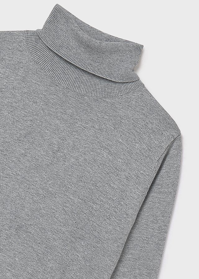 Basic knitting turtleneck