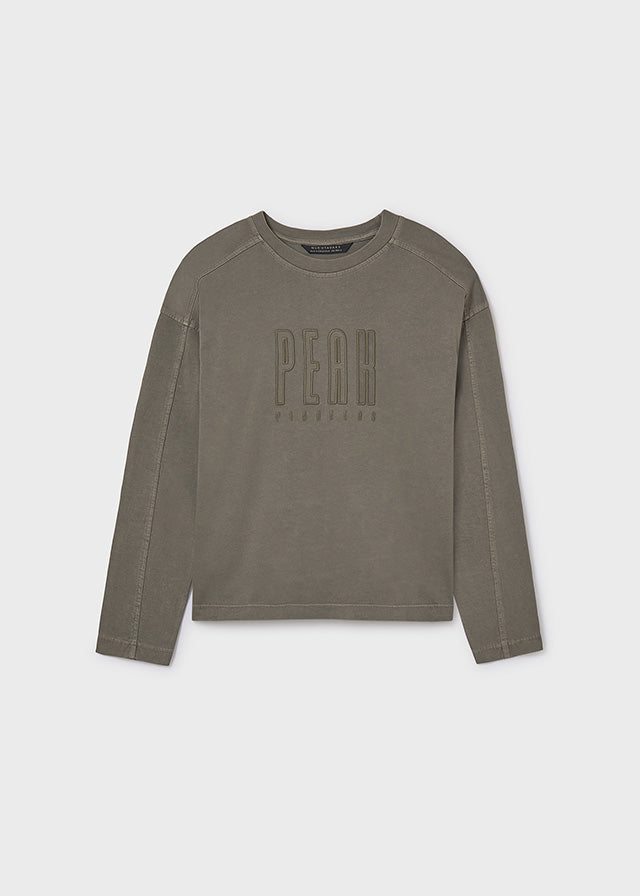 T-shirt m/l apply embroidery