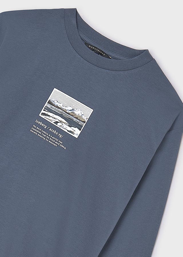 L/s "iceberg" shirt