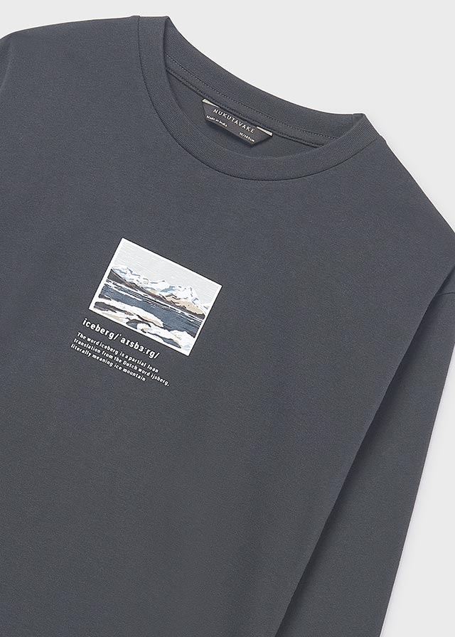 L/s "iceberg" shirt