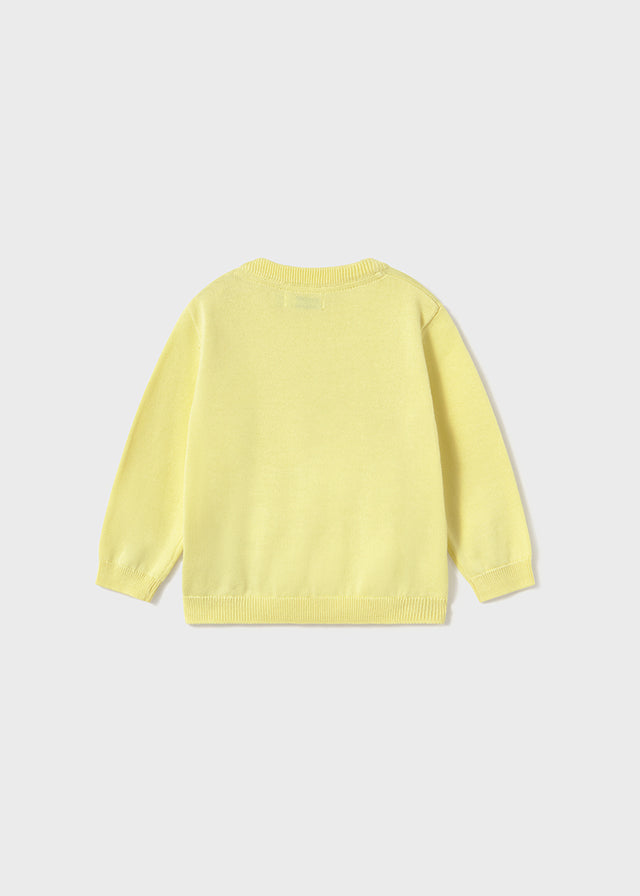 Basic cotton jumper