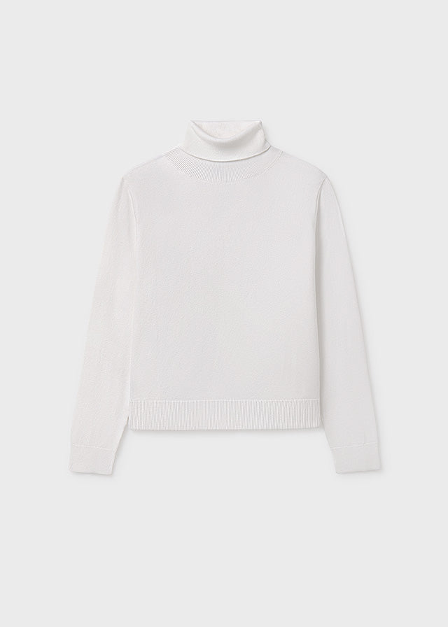 Basic knitting turtleneck