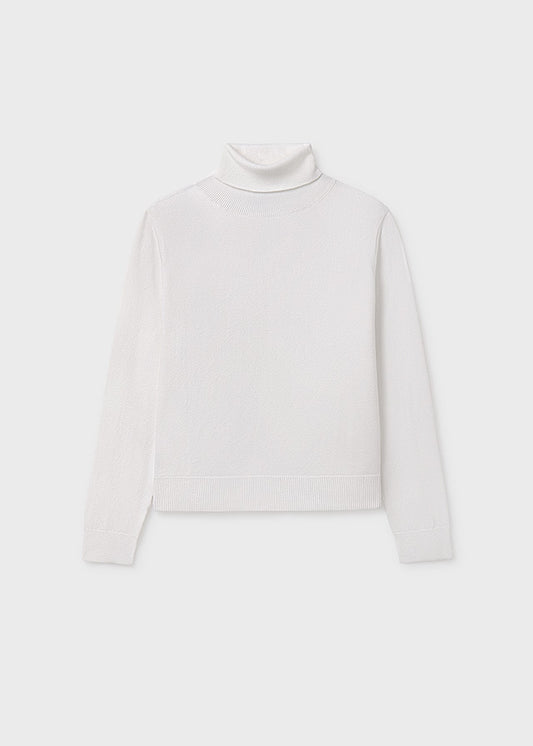Basic knitting turtleneck