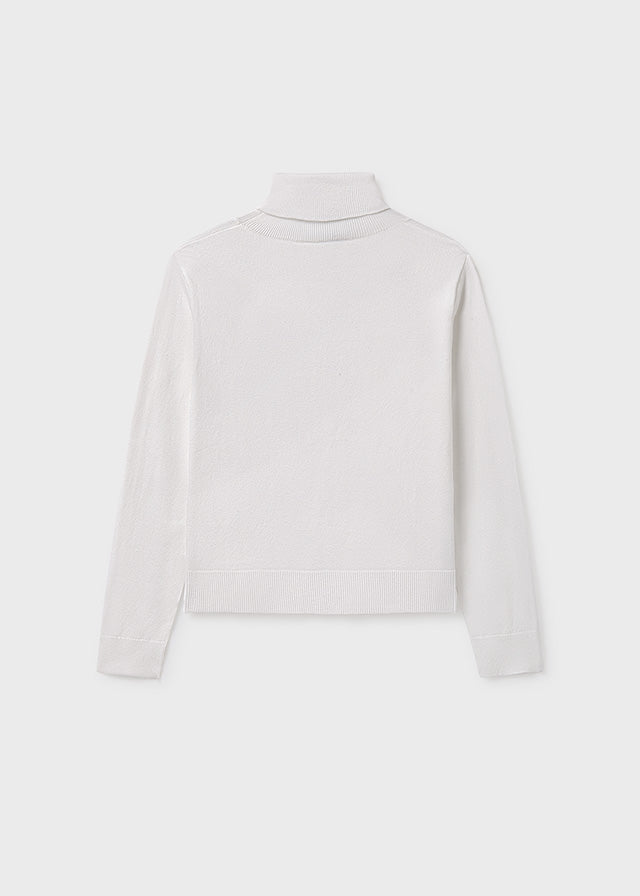 Basic knitting turtleneck