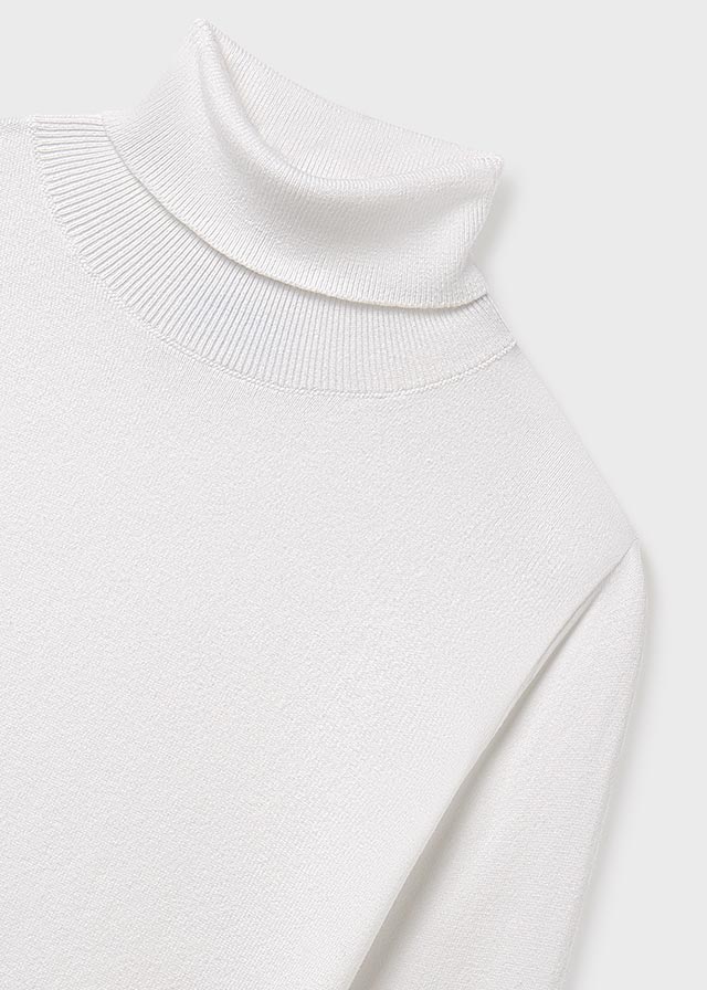 Basic knitting turtleneck