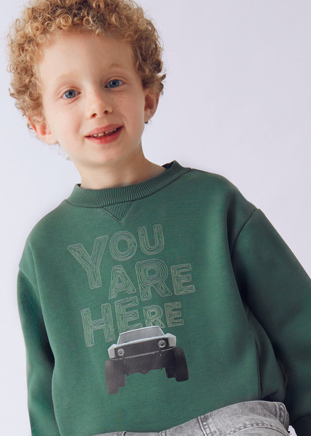 Car print pullover
