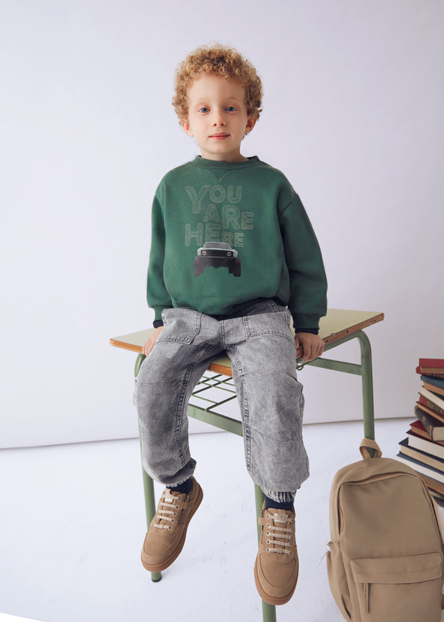 Car print pullover