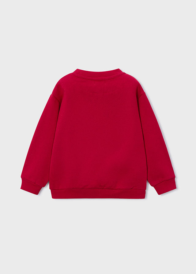 Car print pullover
