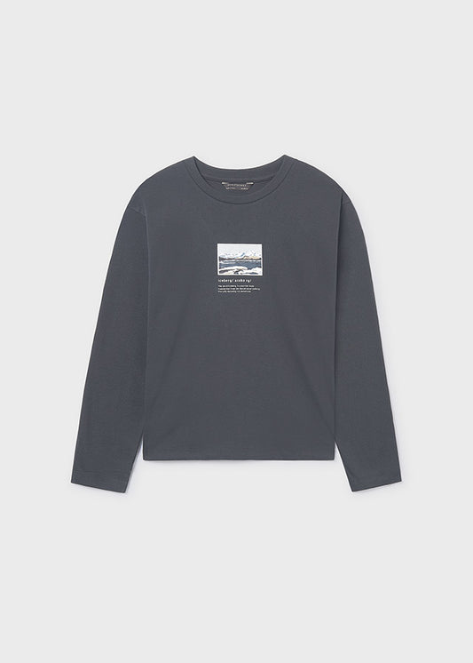 L/s "iceberg" shirt