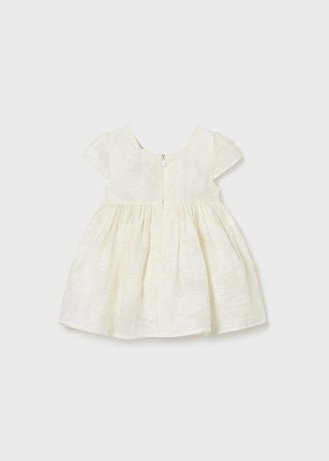 Devore dress